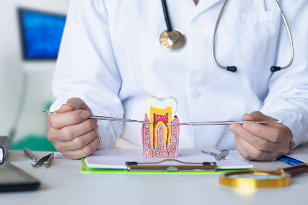 Best Urgent Care for Lost Fillings or Crowns in East Rancho Dominguez, CA
